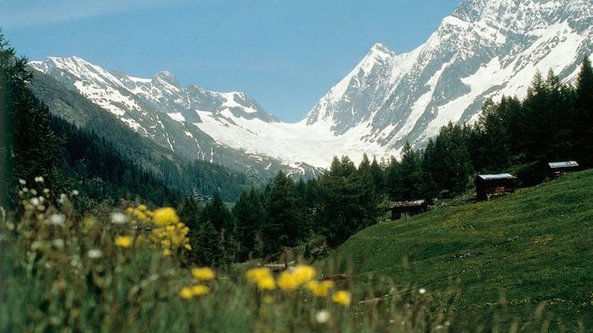 Hotel Edelweiss Blatten Loetschental Dış mekan fotoğraf